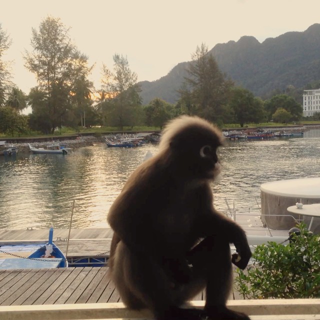 10724827_808741255856755_323807589_n