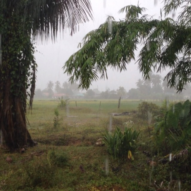 10727757_732899086795009_52516482_n